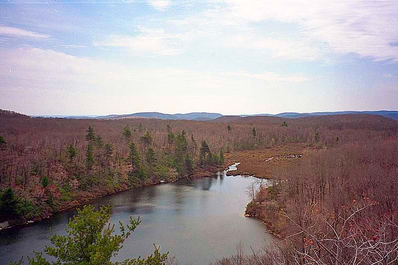 IMG0139.jpg