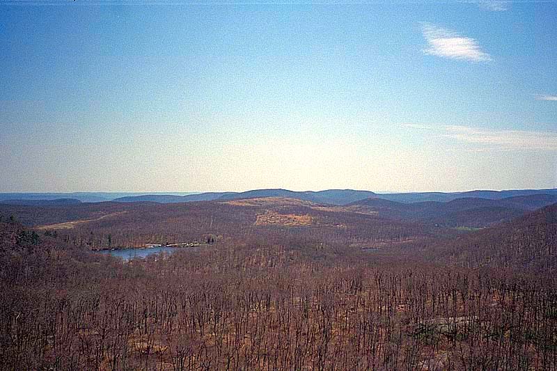 IMG0140.jpg