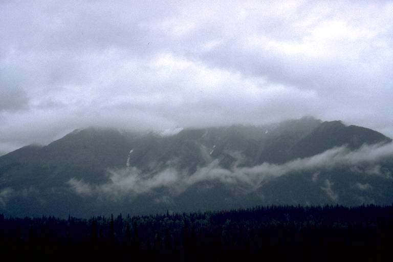 rw044.jpg