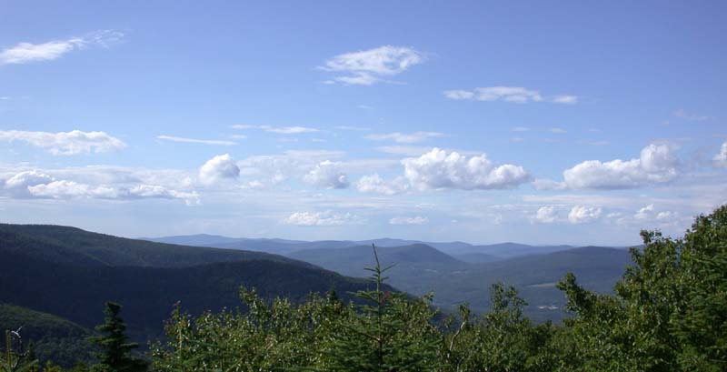 DSCN0210.jpg -           