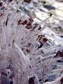 DSCN0361