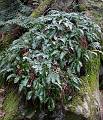 DSCN0196