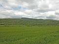 DSCN0203