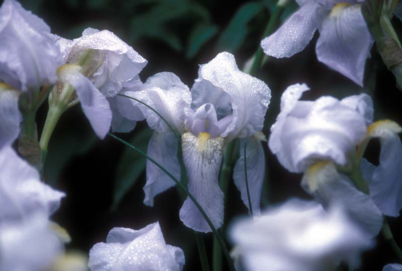95-08.jpg