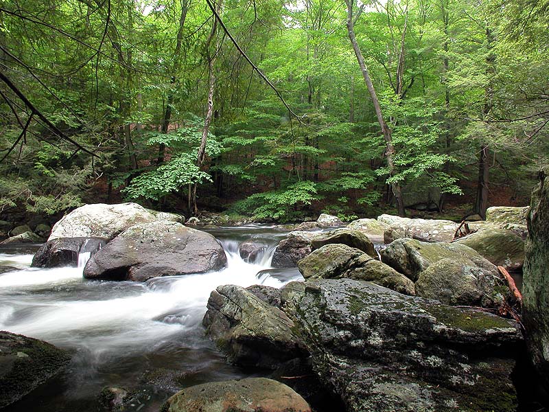 DSCN0601.jpg