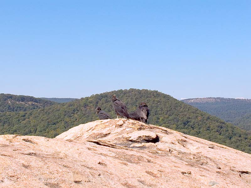 DSCN1087.jpg