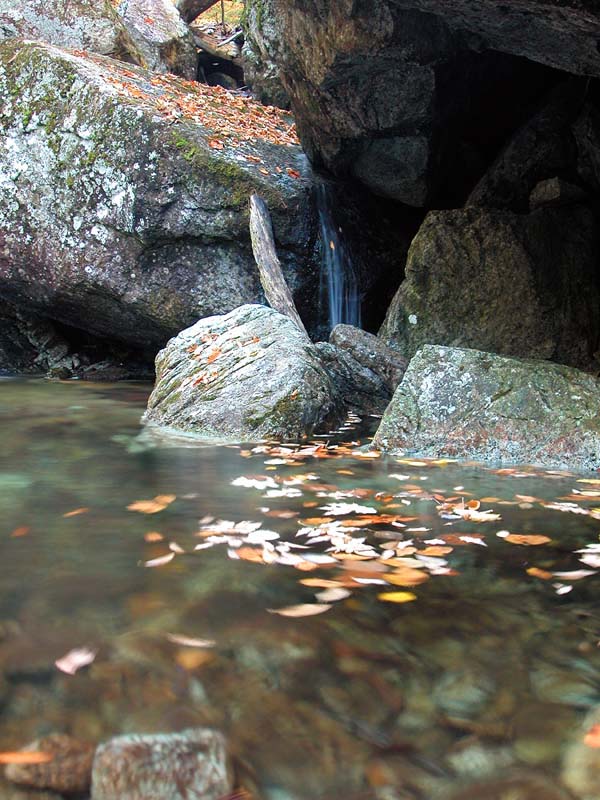 DSCN1179.jpg -           
