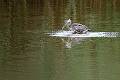 10-09 Annsville Creek
