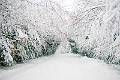 11-26 Berkshires