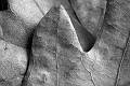 _HEC0514-2