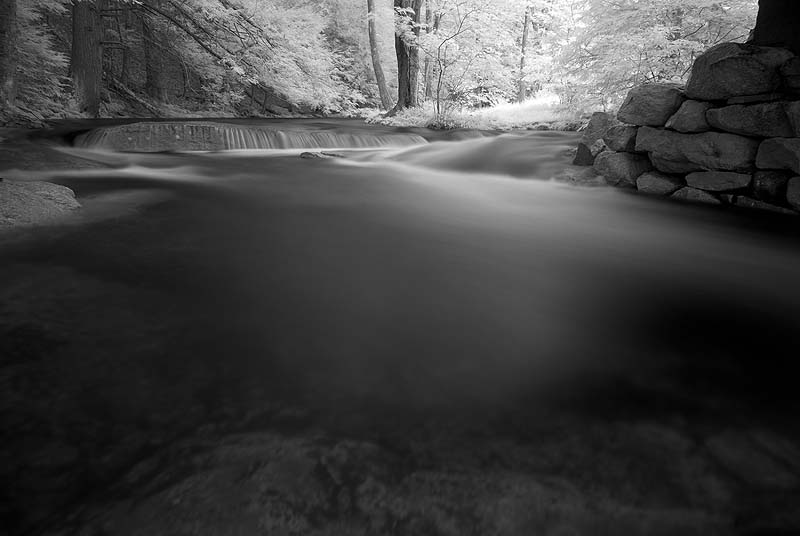 _DIR0277.jpg - COPYRIGHT (C) HERB CHONG