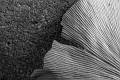 _HEC9153