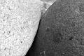 _HEC9196