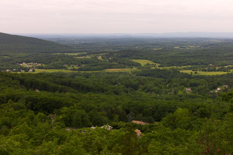 L1000766.jpg