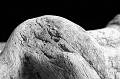 _HEC4124a