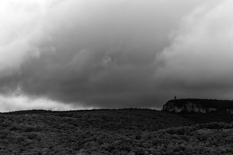 L1002981.jpg