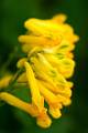 _HFC5996