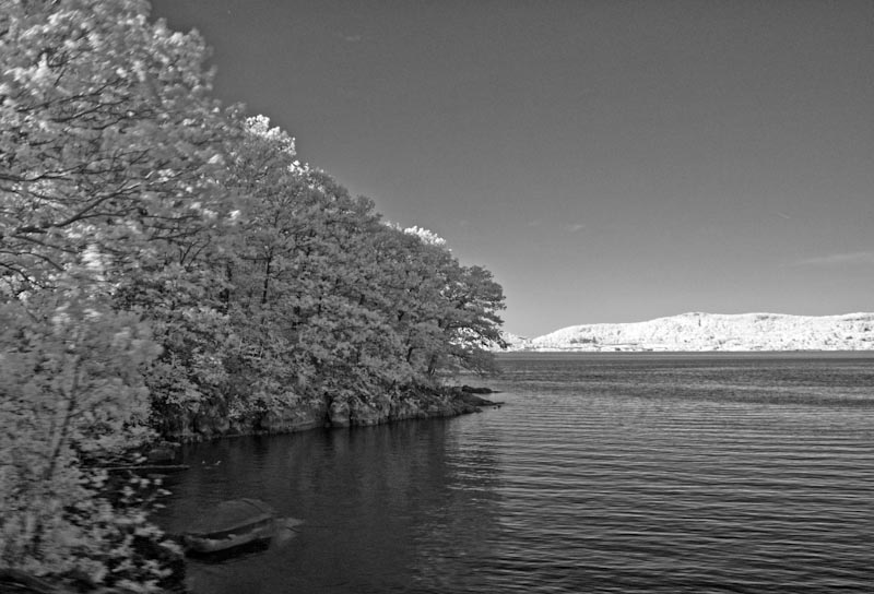 _5191848.jpg