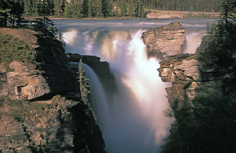 07-33.jpg - Athabaska Falls, Jasper National Park, Canada - It's late afternoon and the sun goes down over the Rockies, silhouetting the trees.