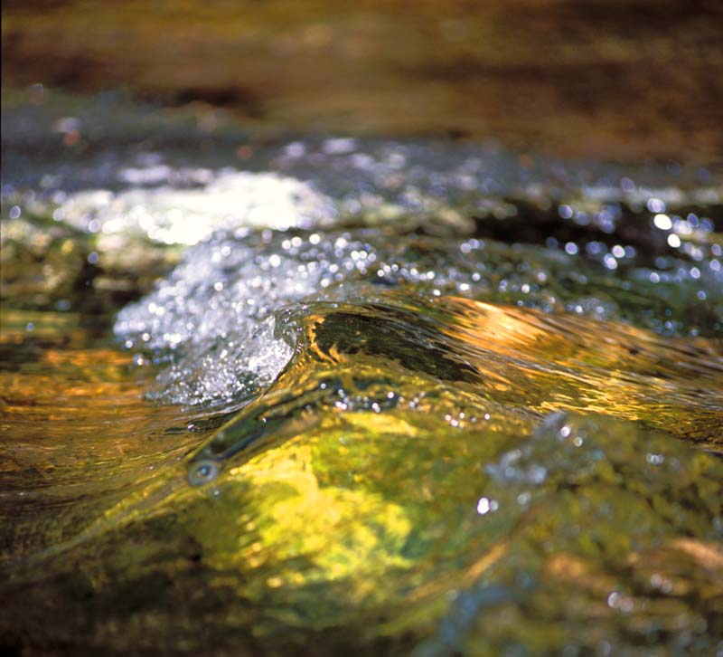 a014.jpg - Standing Wave on the Peterskill, Minnewaska State Park Preserve, NY - I stop for lunch near the stream in a nice shady spot. As I eat, I see the wave rise and fall, but never moving up or down the stream. The sun strikes it and I see the bright sparks of water drops thrown off. Time for the camera.