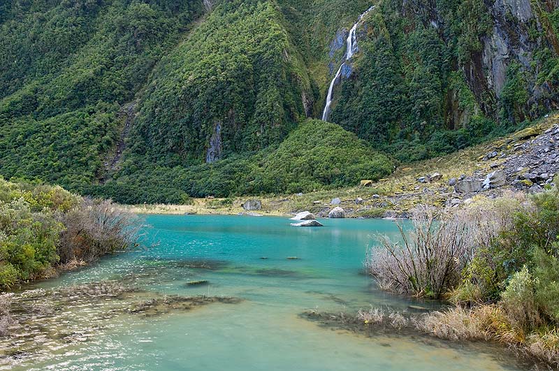 _HAC4705.jpg - Franz Josef Glacier, South Island, New Zealand