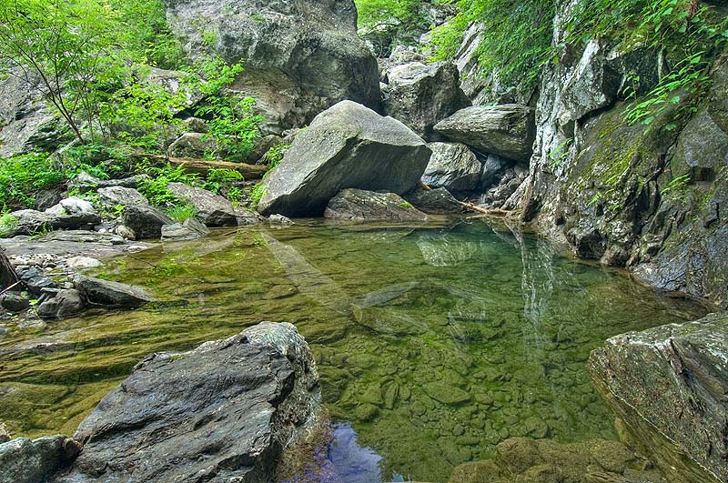 _HAC7664.jpg - Bash Bish Brook, Berkshires, MA