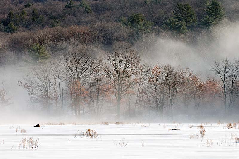 _HCC2872.jpg - Basha Kill, Sullivan County, NY