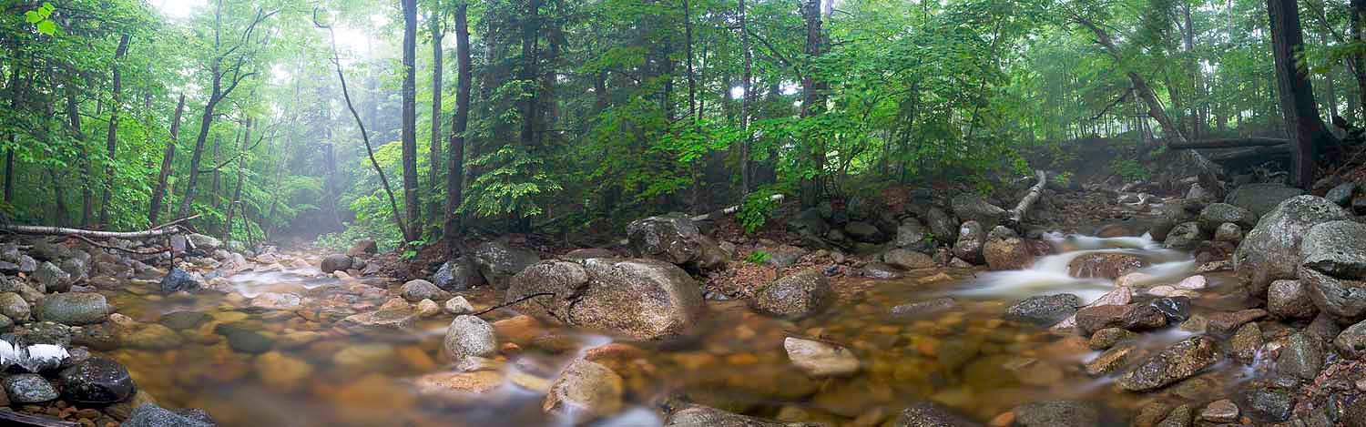 cn01.jpg - Bemis Brook, Crawford Notch, NH