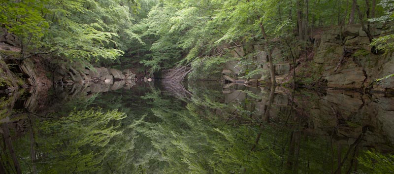 _HEC0814.jpg - Sylvan Glen