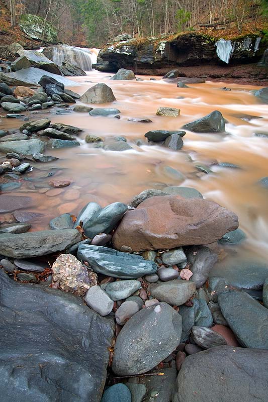 _HAC2906.jpg - Copyright (c) Herb Chong