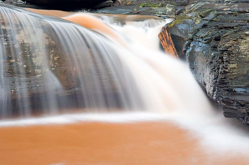 _HAC2916.jpg - Copyright (c) Herb Chong