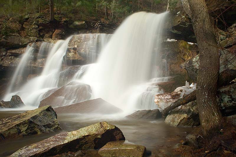 _HAC2925.jpg - Copyright (c) Herb Chong