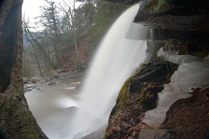 _HAC2933.jpg - Copyright (c) Herb Chong