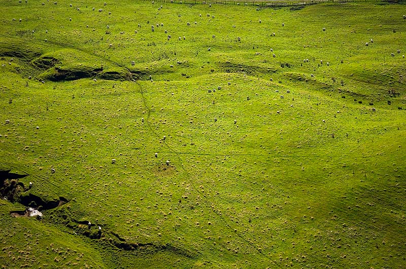 _HAC5342.jpg - Copyright (c) Herb Chong