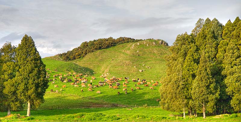 _HAC5433.jpg - Copyright (c) Herb Chong