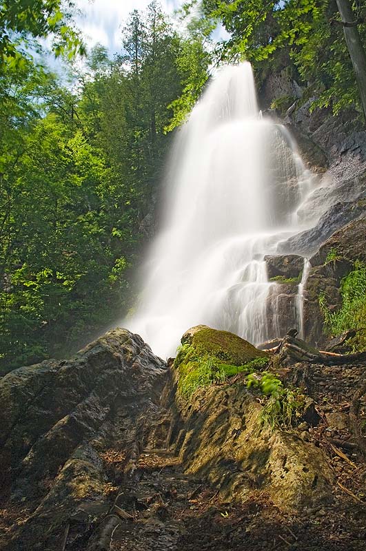 _HAC7988.jpg - Copyright (c) Herb Chong