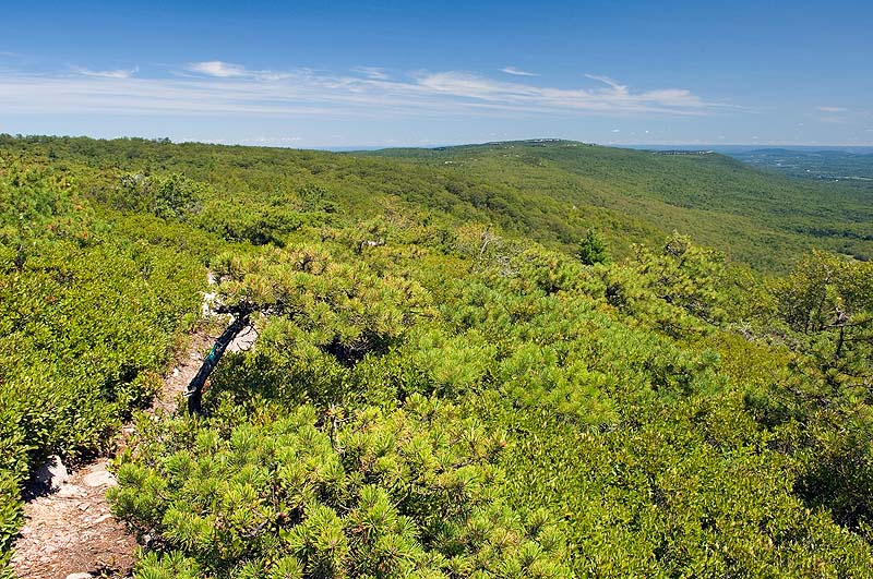 _HAC9623.jpg - Copyright (c) Herb Chong