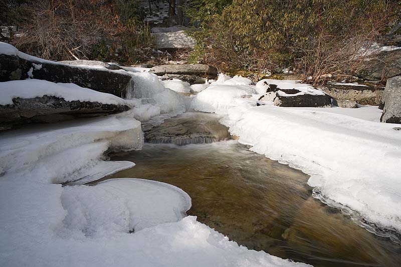 _HDC3440.jpg - Copyright (c) Herb Chong