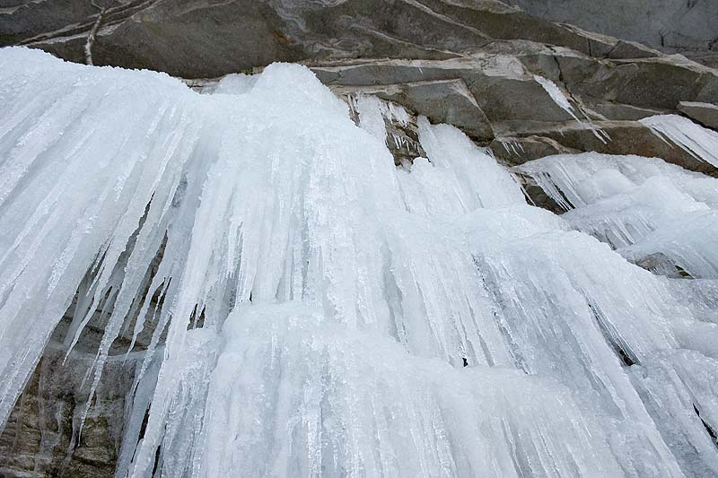 _HDC3485.jpg - Copyright (c) Herb Chong