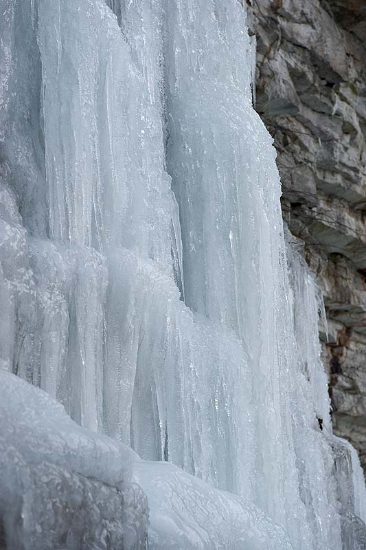 _HDC3489.jpg - Copyright (c) Herb Chong