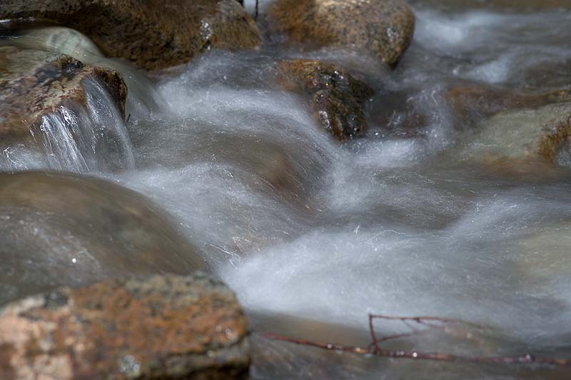 _HDC1910.jpg - Copyright (c) Herb Chong