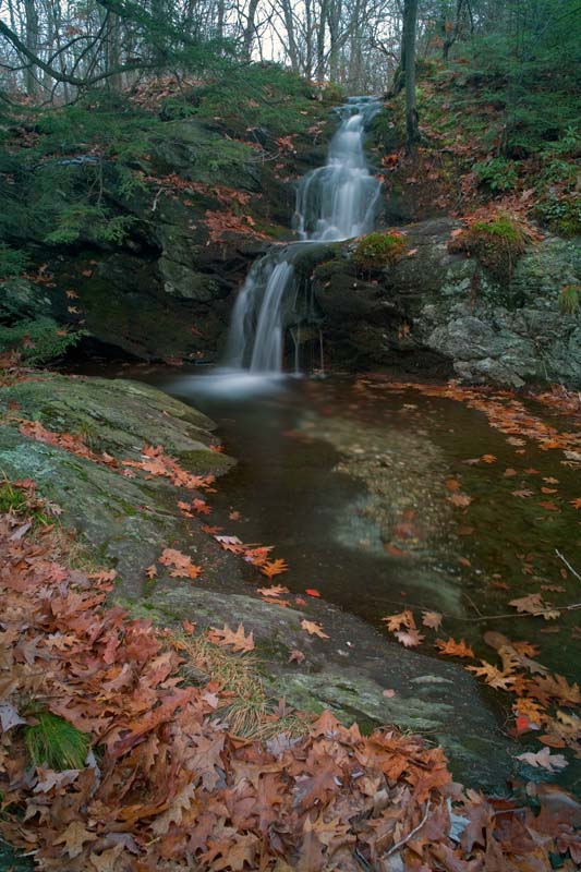 _HDC7793.jpg - Copyright (c) Herb Chong