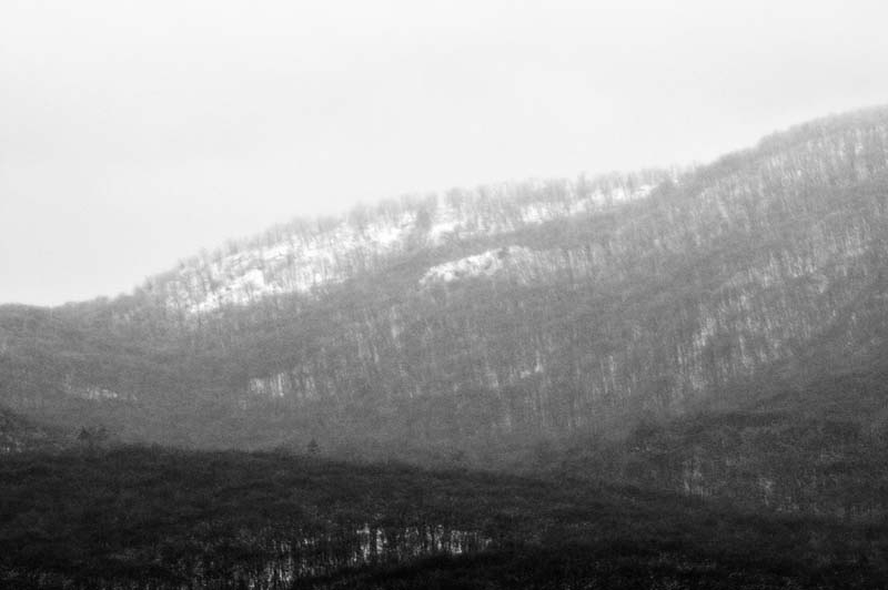 _DSC0424.jpg - Copyright (c) Herb Chong