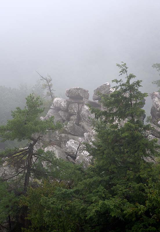 _HEC6589.jpg - Copyright (c) Herb Chong