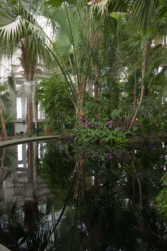 _HEC4234.jpg - Copyright (c) Herb Chong