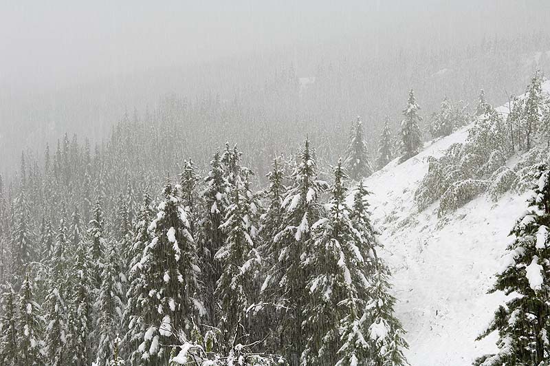 _HAC1974.jpg - Kananaskis Village, Alberta, Canada